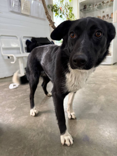 Иркутск 979/25