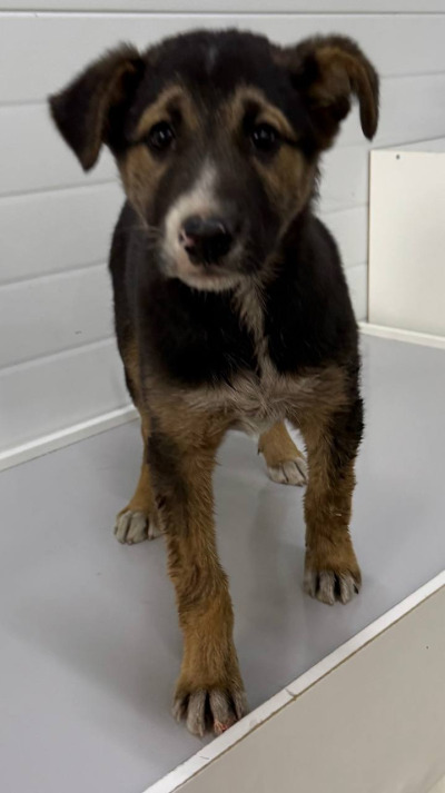 Иркутск 980/25