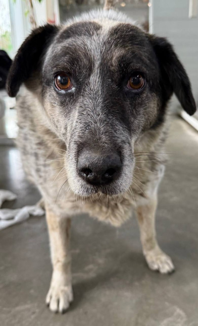 Иркутск 981/25