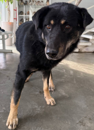 Иркутск 983/25