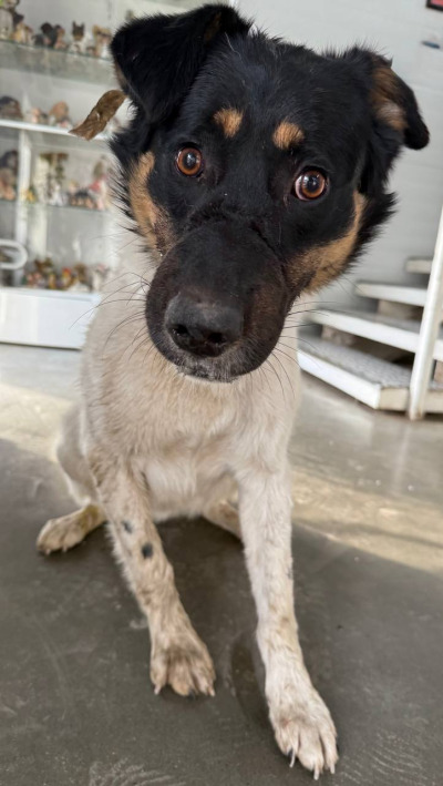 Иркутск 984/25