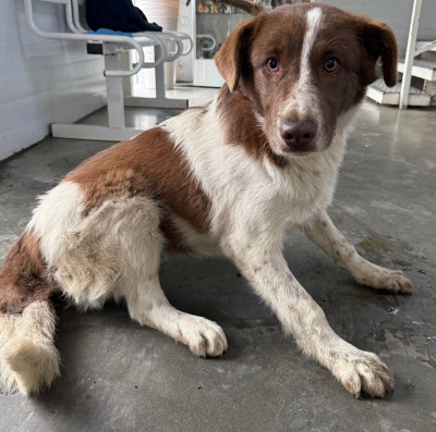 Иркутск 986/25