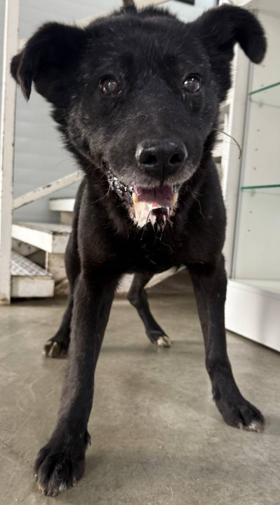 Иркутск 988/25