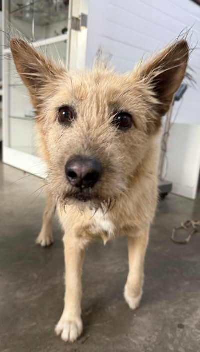 Иркутск 990/25