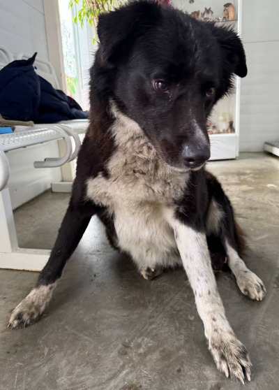 Иркутск 991/25