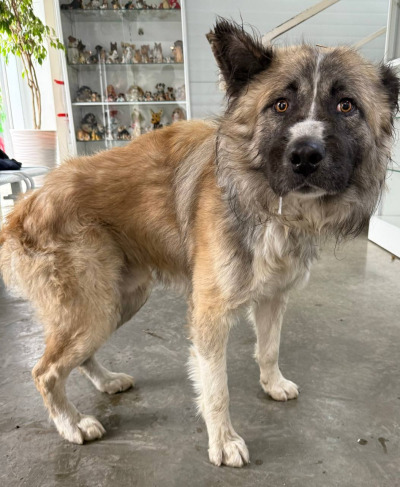 Иркутск 992/25