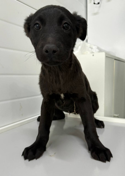 Иркутск 993/25