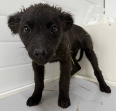 Иркутск 996/25