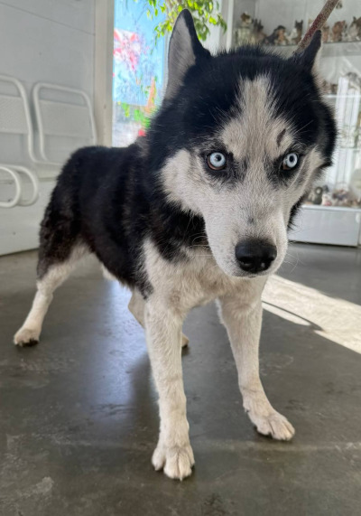 Иркутск 997/25