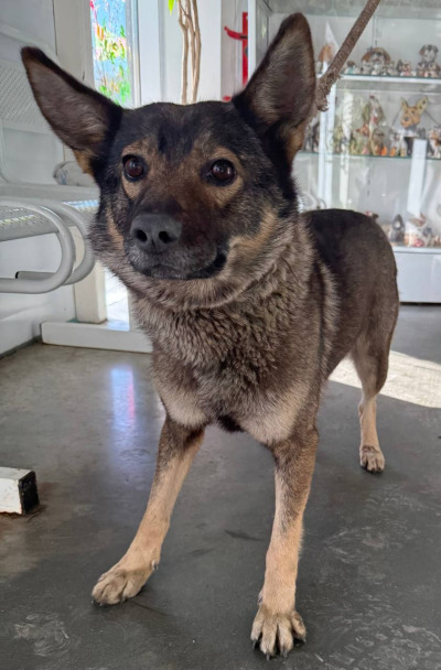 Иркутск 998/25