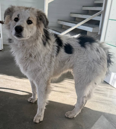 Иркутск 999/25