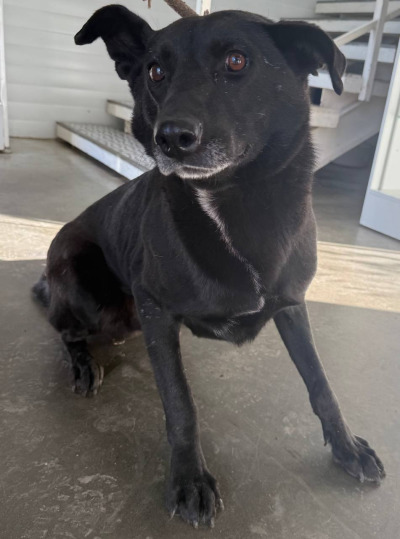 Иркутск 1000/25