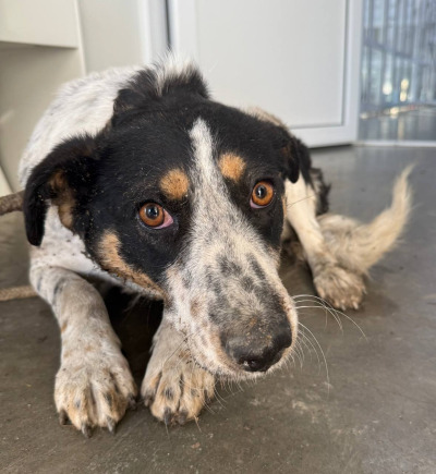 Иркутск 1001/25