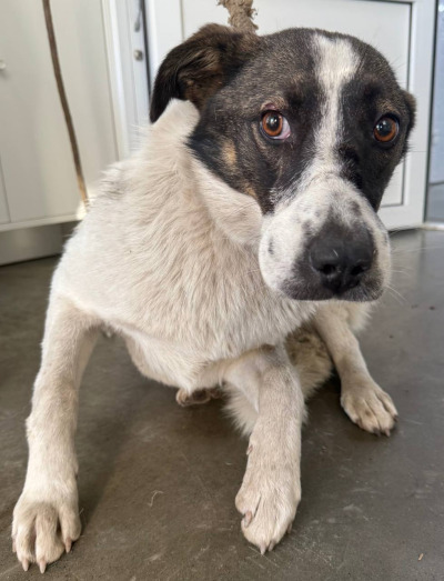 Иркутск 1002/25