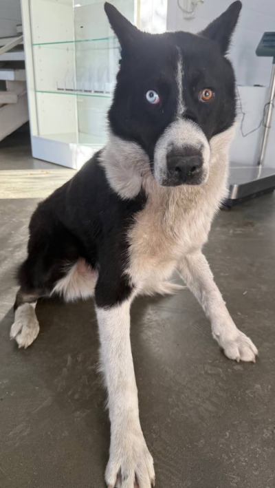 Иркутск 1003/25