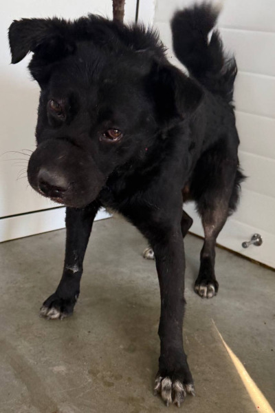 Иркутск 1004/25