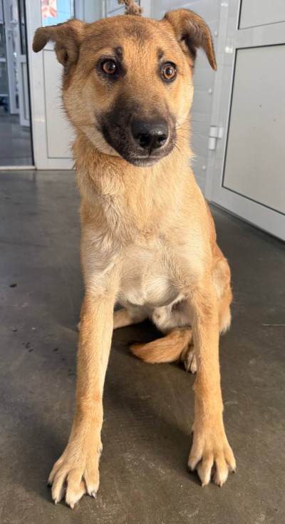 Иркутск 1005/25