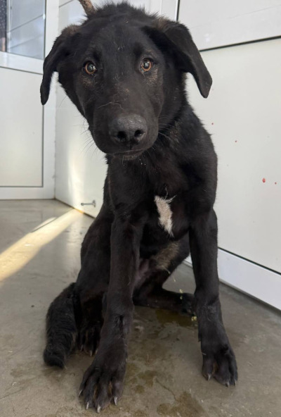 Иркутск 1006/25