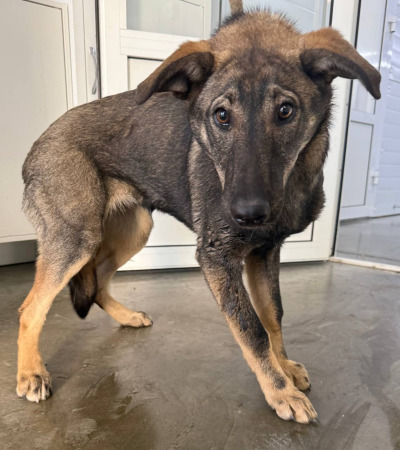 Иркутск 1007/25