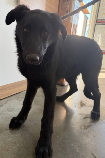 Иркутск 1008/25