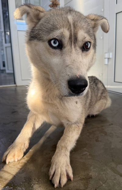 Иркутск 1009/25