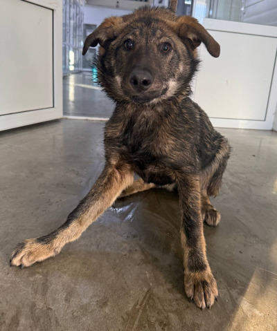 Иркутск 1010/25