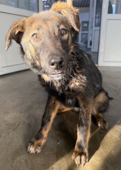 Иркутск 1011/25