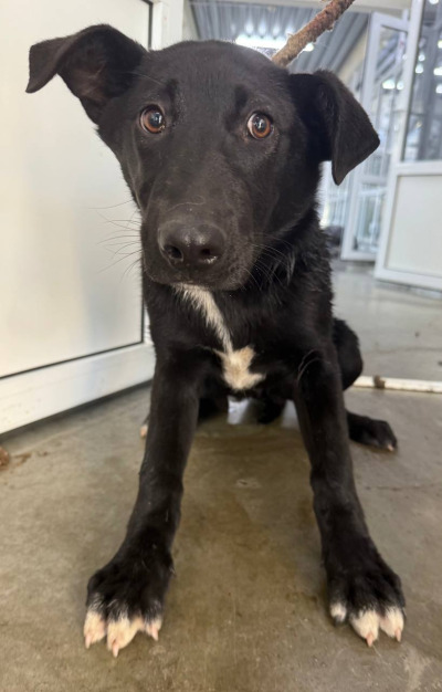 Иркутск 1012/25