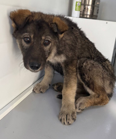 Иркутск 1013/25