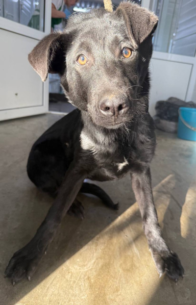 Иркутск 1014/25