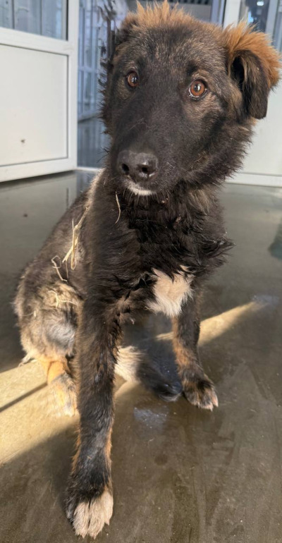 Иркутск 1015/25