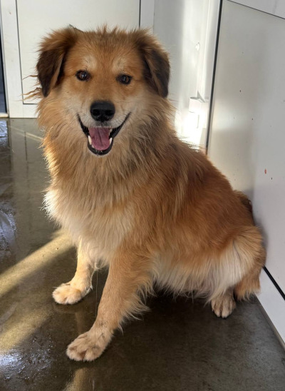 Иркутск 1016/25