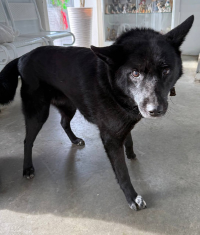 Иркутск 1017/25