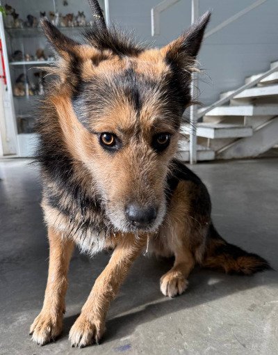 Иркутск 1018/25