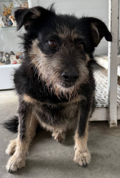 Иркутск 1019/25