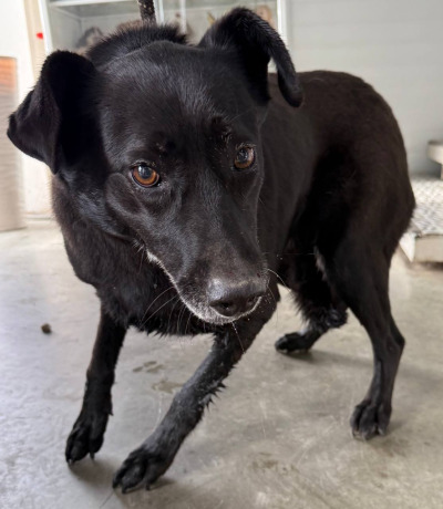 Иркутск 1020/25