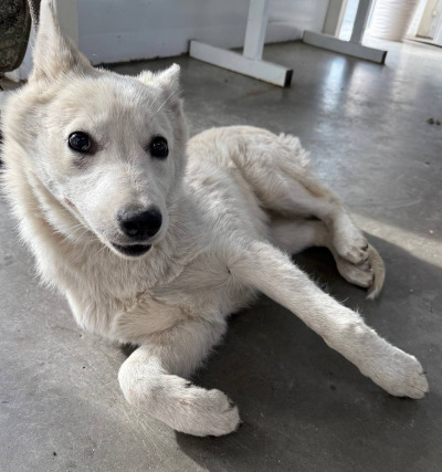 Иркутск 1021/25