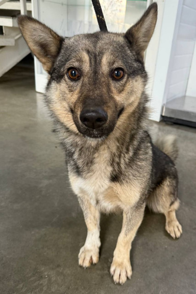 Иркутск 1022/25