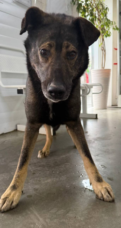 Иркутск 1023/25