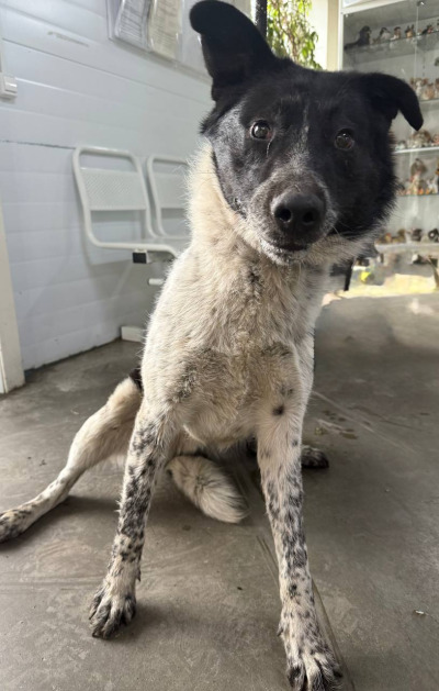 Иркутск 1024/25