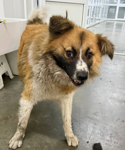 Иркутск 1026/25