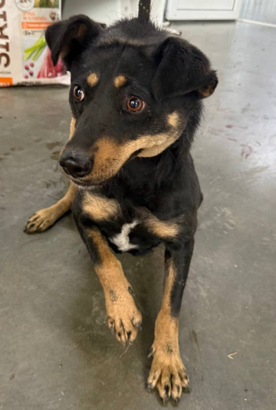 Иркутск 1027/25