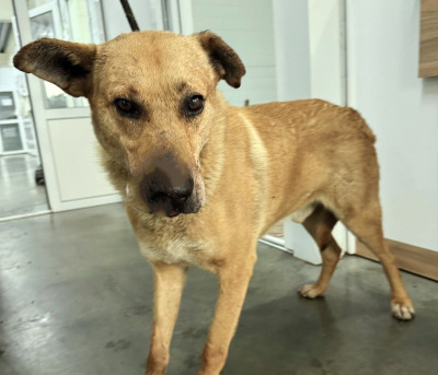 Иркутск 1025/25