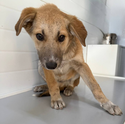 Иркутск 1028/25