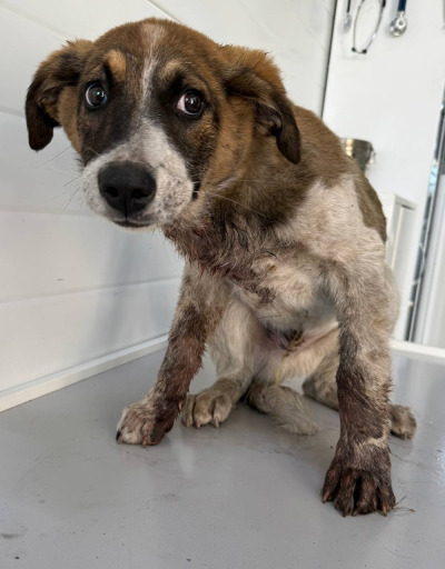 Иркутск 1029/25