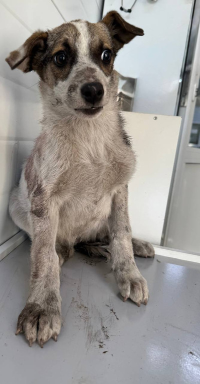 Иркутск 1031/25