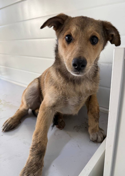 Иркутск 1032/25