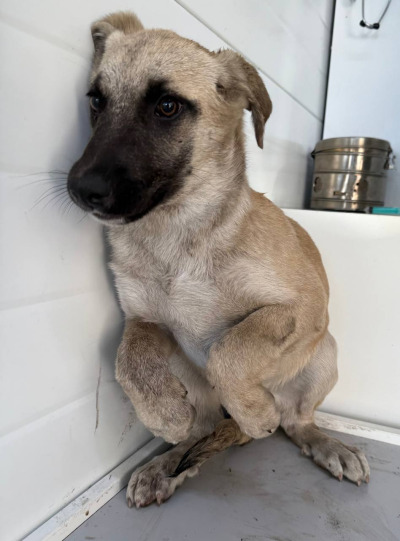 Иркутск 1033/25