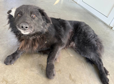 Иркутск 1034/25