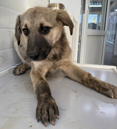 Иркутск 1035/25